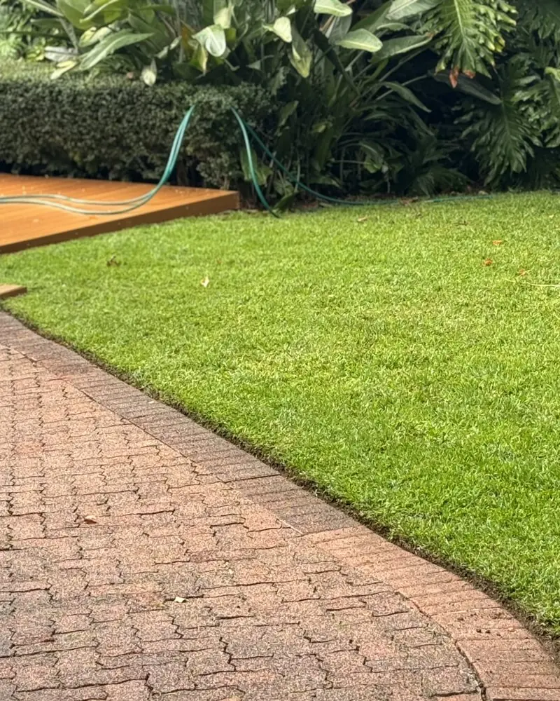 A freshly mown lawn edged neatly along a curved brick path, with a timber deck and hedge behind