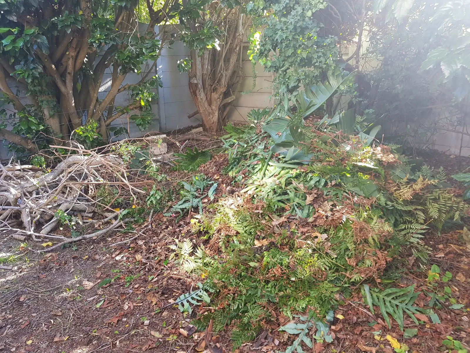 A pile of cut branches and green waste in a garden bed, waiting to be cleared
