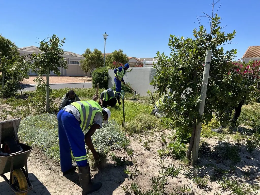 Top Trimmers workers in hi-vis vests weeding a planted bed by hand between young trees in a residential estate