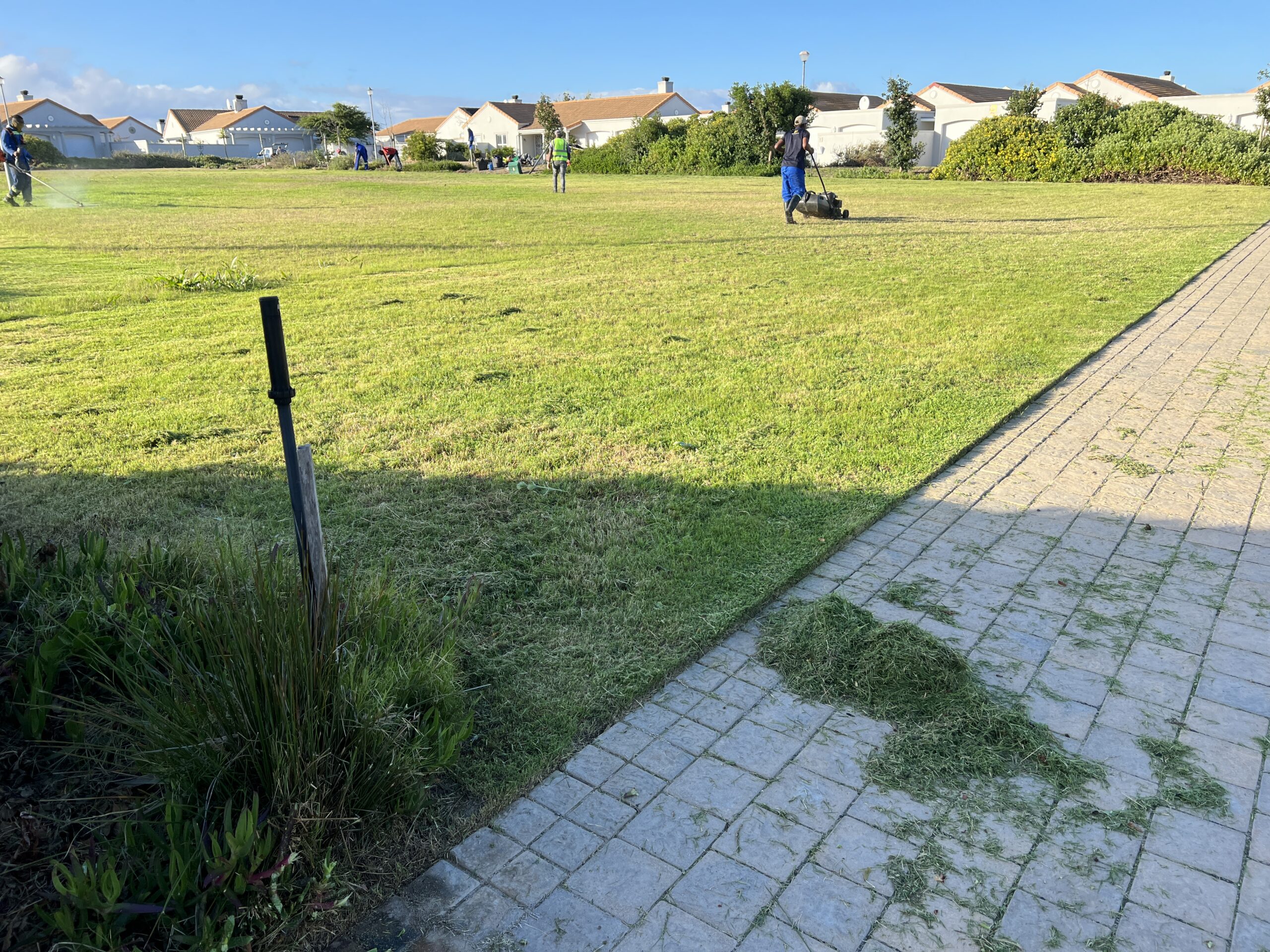 Park Maintenance